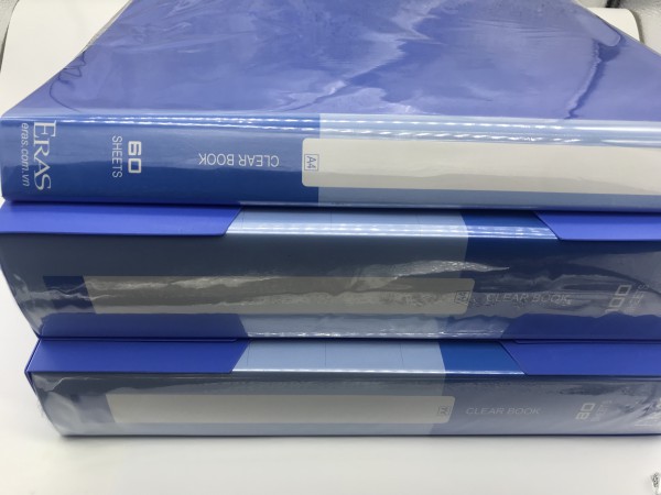 File 20 lá E181